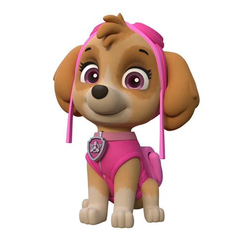 paw patrol skye|skye paw patrol age.